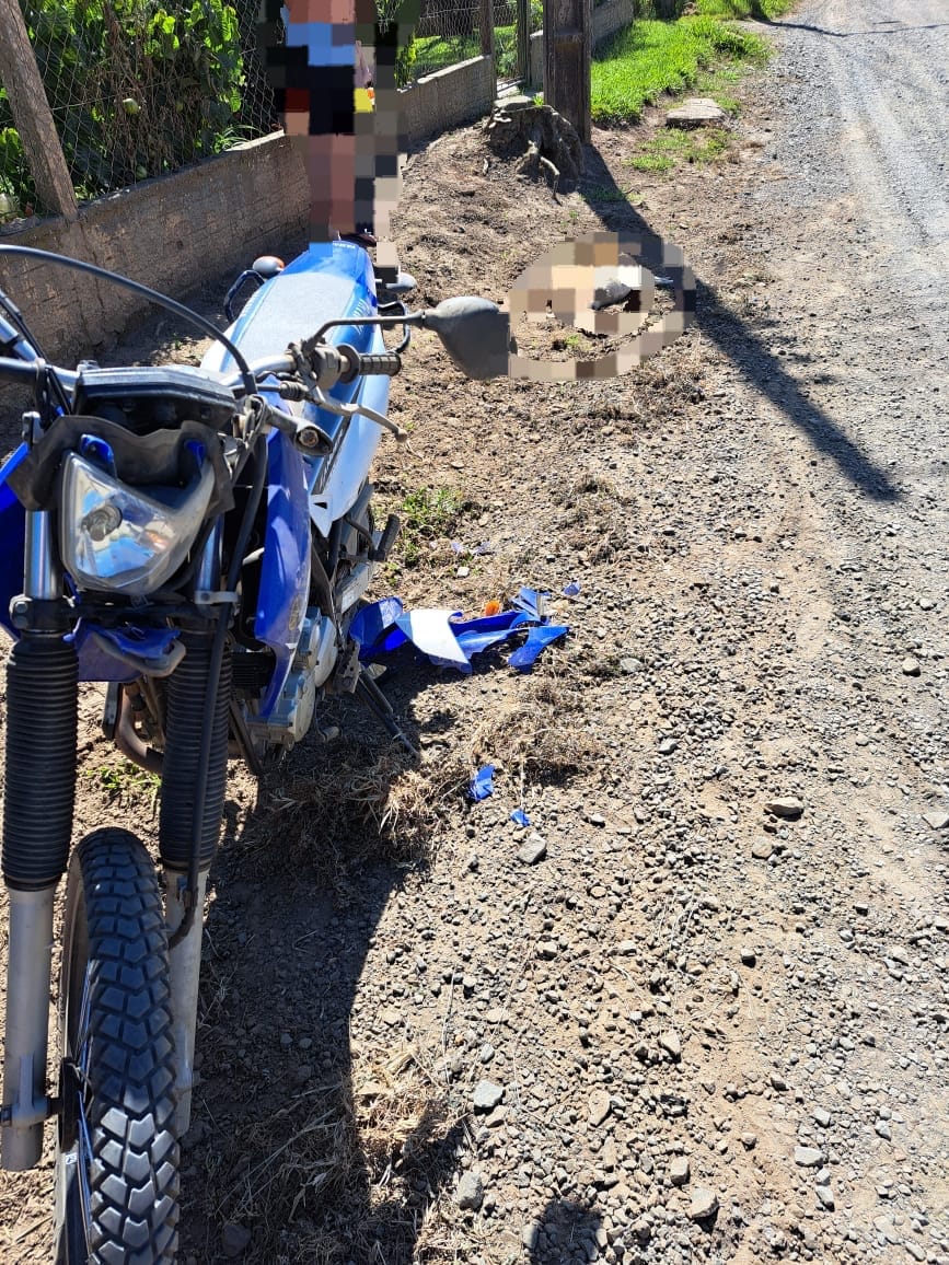 Cachorro Morre Atropelado Por Motociclista Em Estrada De Mafra