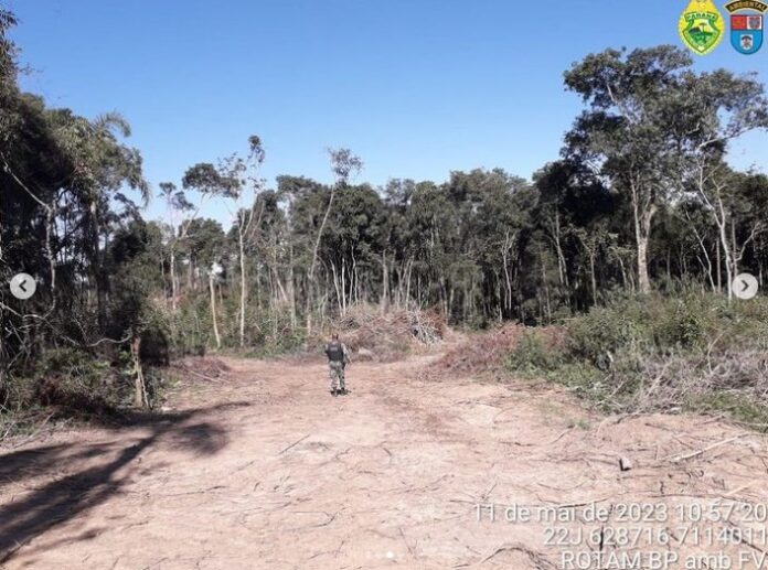 Propriedade rural de Rio Negro é multada em R 180 mil por corte de