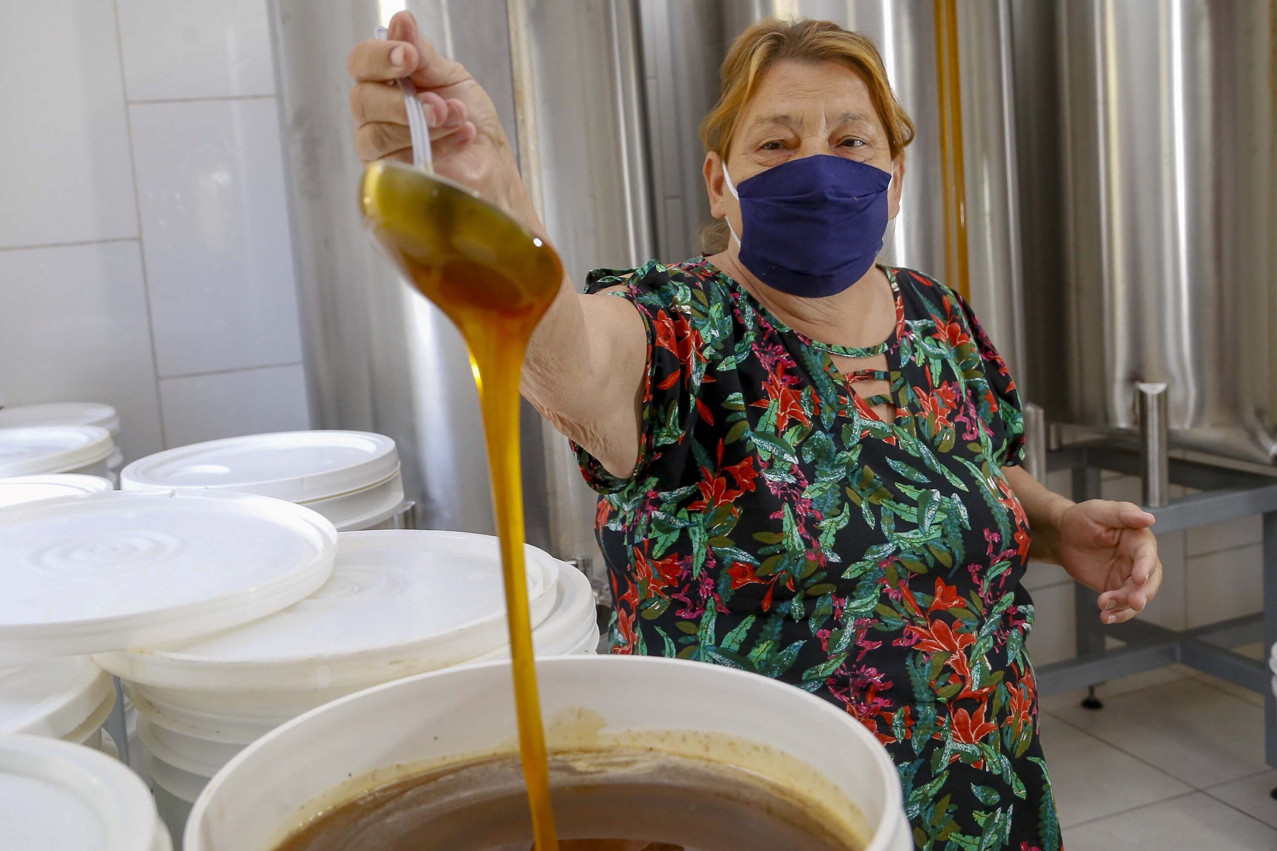 Foto de produção de mel no Paraná